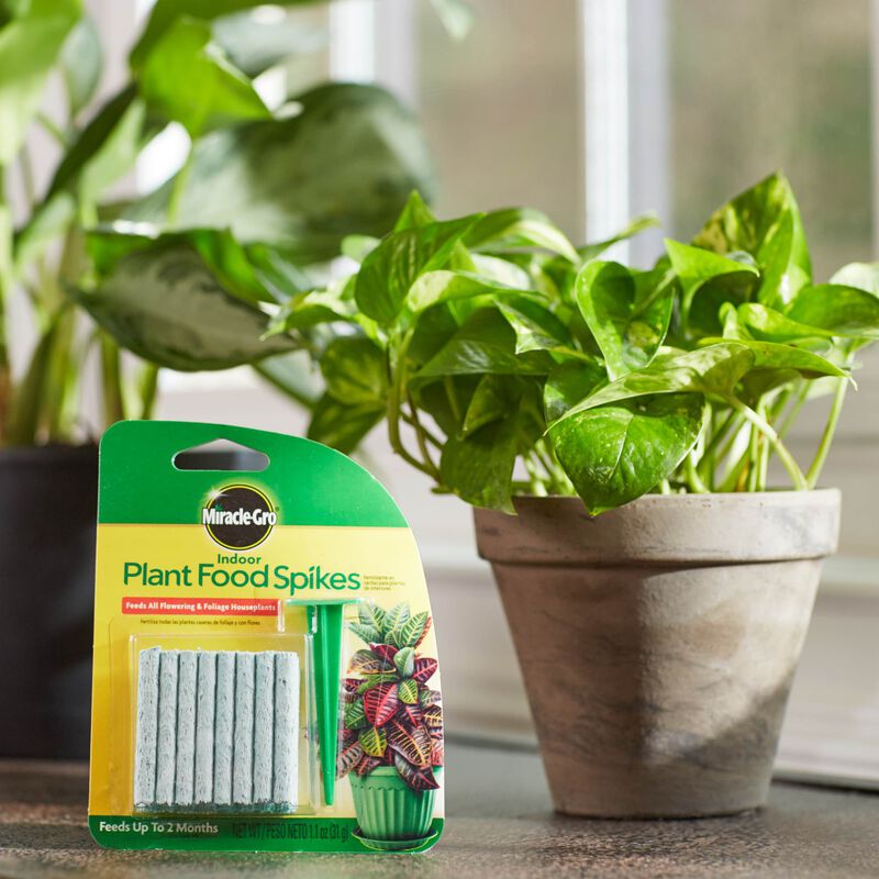 Miracle-Gro® Indoor Plant Food Spikes image number null