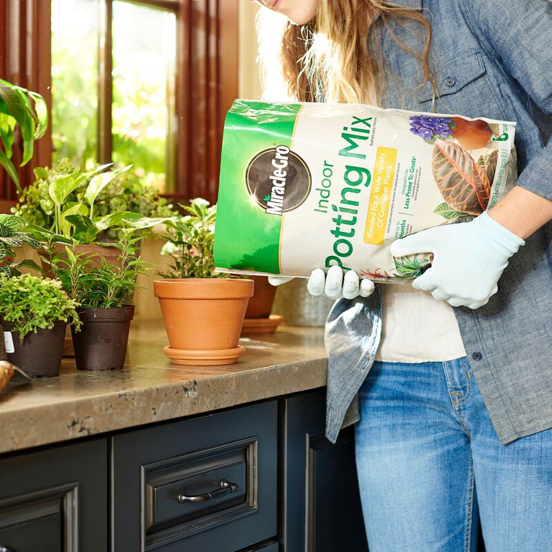 Miracle-Gro® Indoor Potting Mix image number null