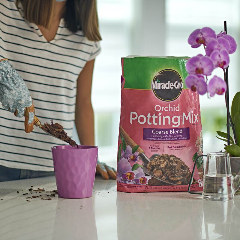 MiracleGro Orchid Potting Mix Coarse Blend Miracle Gro