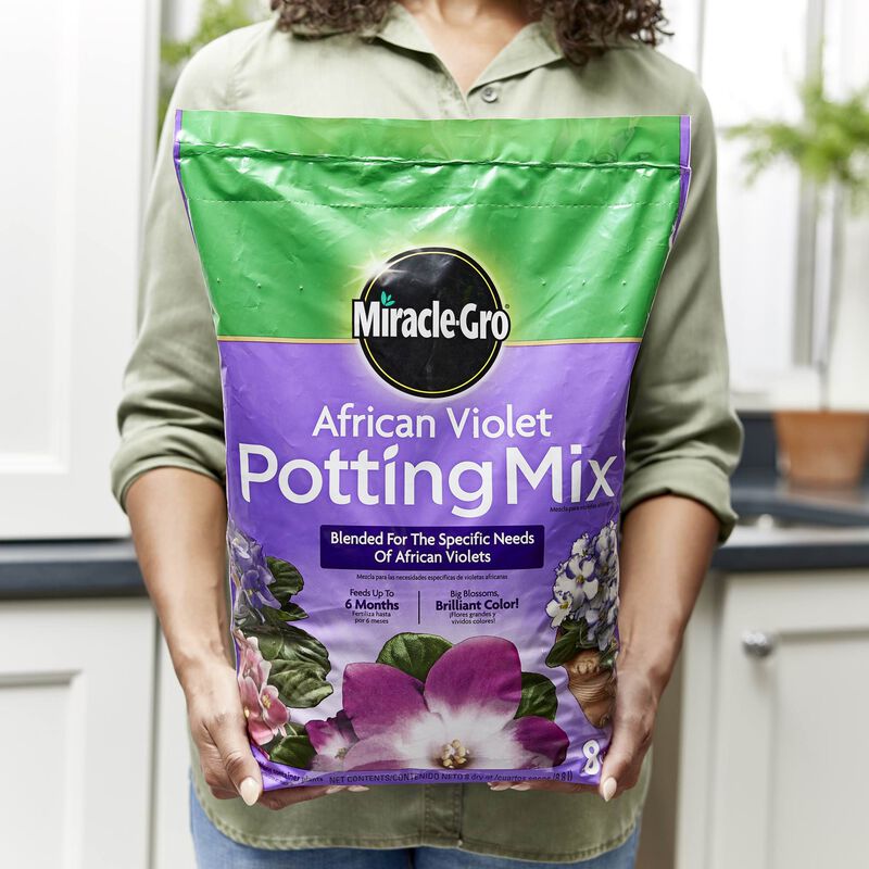 MiracleGro African Violet Potting Mix Miracle Gro