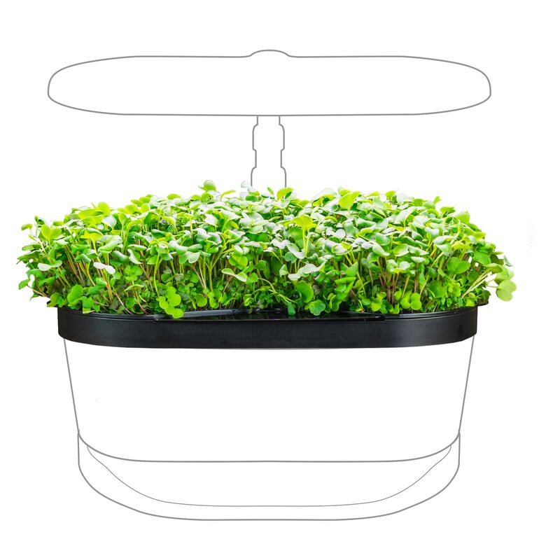 Bounty Basic with MicroGreens Kit Bundle image number null