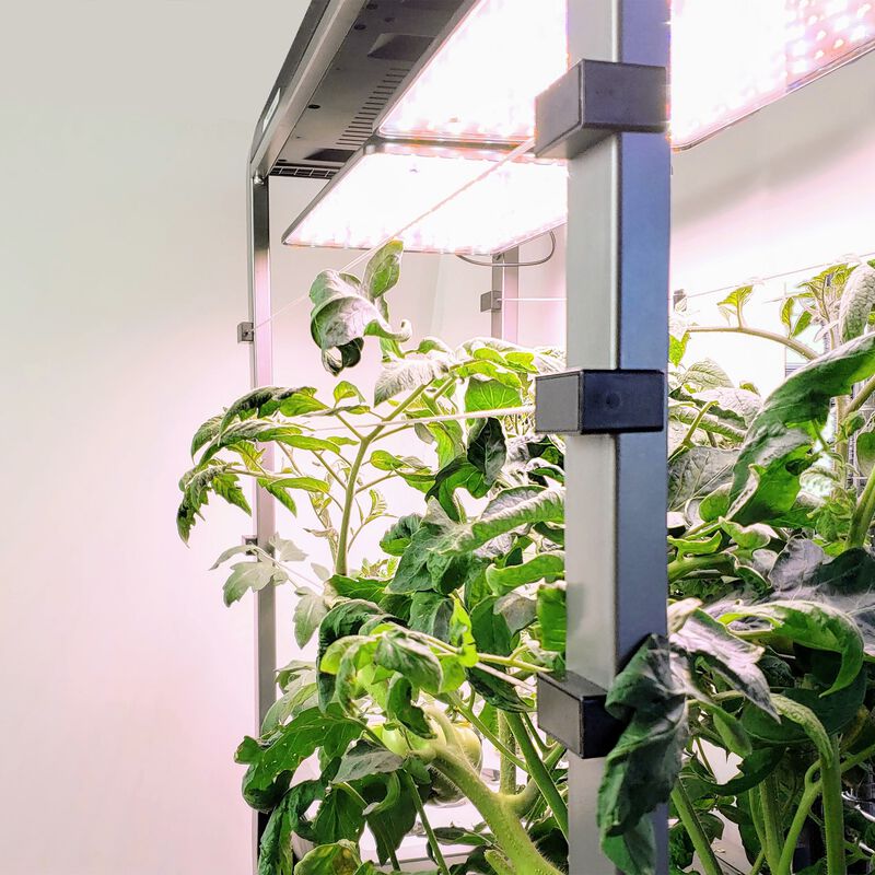 AeroGarden Trellis System Accessory for Farm Models image number null