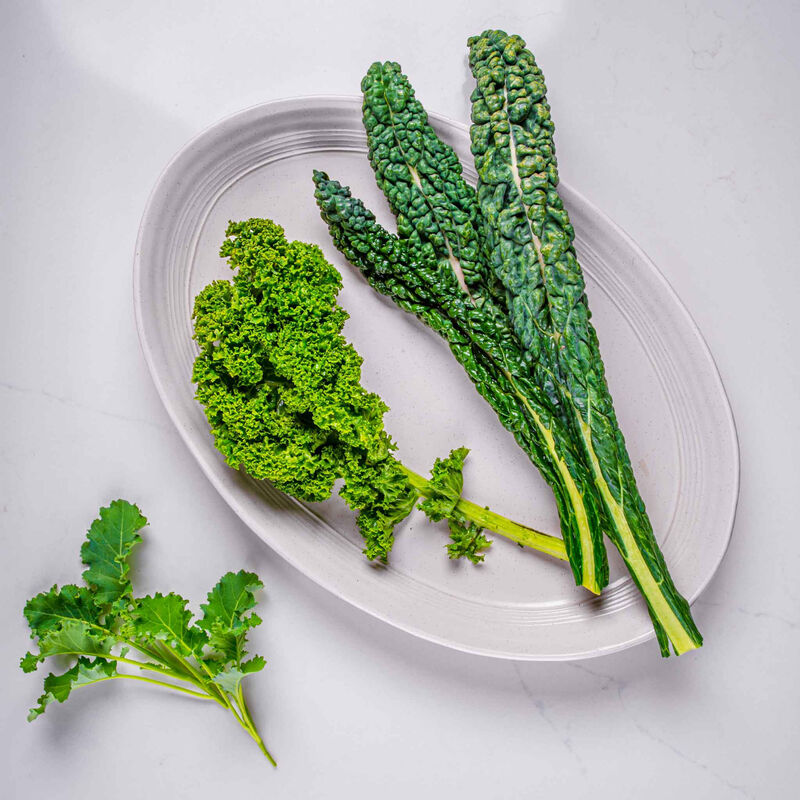 Mixed Kale Seed Pod Kit image number null