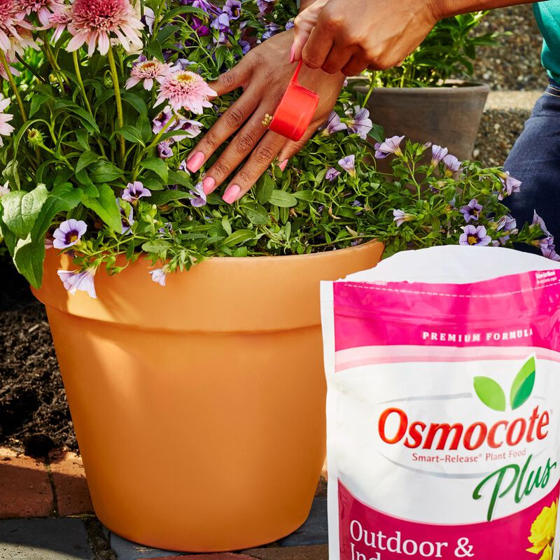Slow Release Plant Food for indoors and outdoors, Osmocote