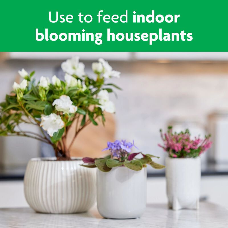 Miracle-Gro® Blooming Houseplant Food image number null