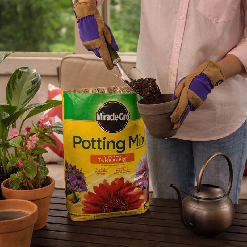 Miracle-Gro® Potting Mix image number null