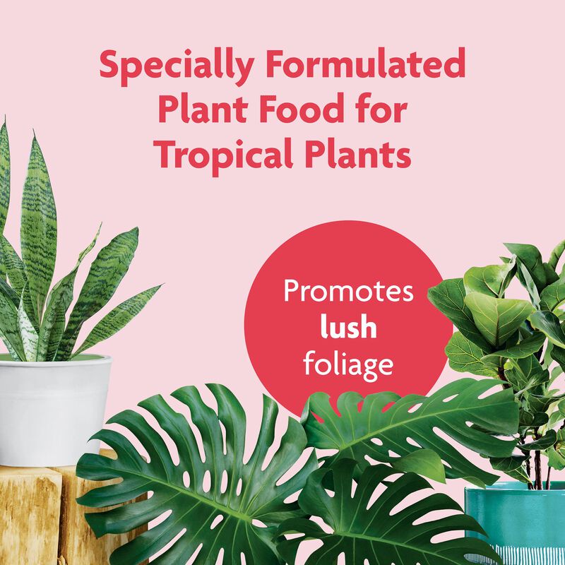 Miracle-Gro® Tropical Houseplant Food image number null