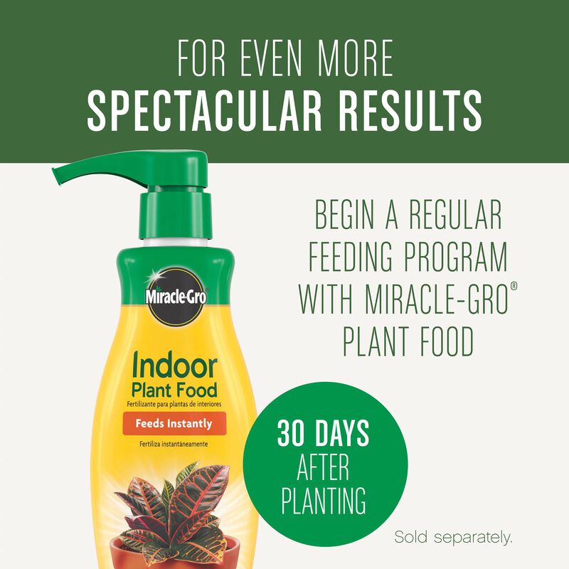 Miracle-Gro® Houseplant Potting Mix image number null