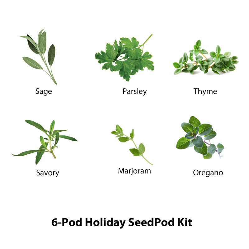 Holiday Herb Seed Pod Kit image number null