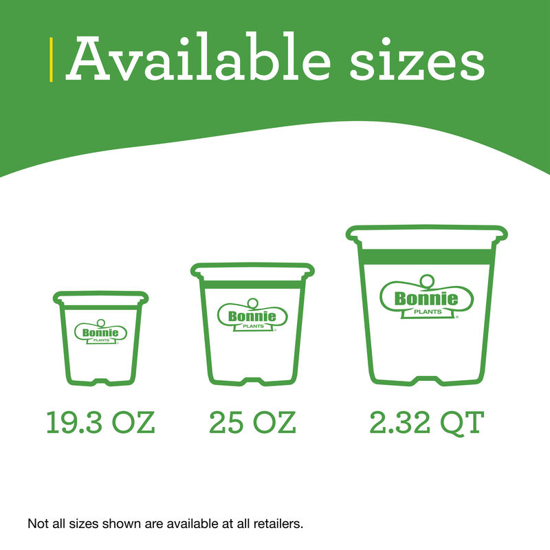 Bonnie Plants Green Bell Pepper 2pack