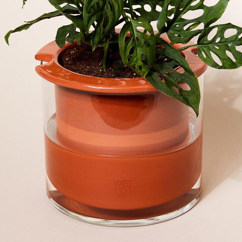 MoMA Self Watering Pot image number null