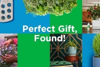 Gifts for the Green Thumb